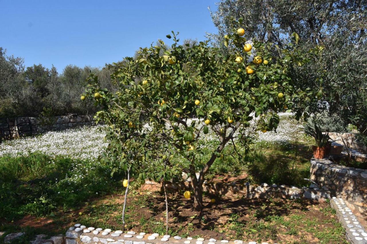 Villa Athina'S Stone House In Kardhamili Exterior foto
